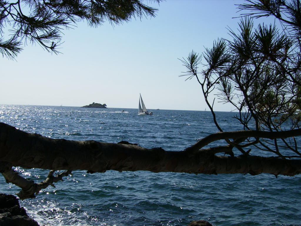 Apartments Carmelo Rovinj Ngoại thất bức ảnh