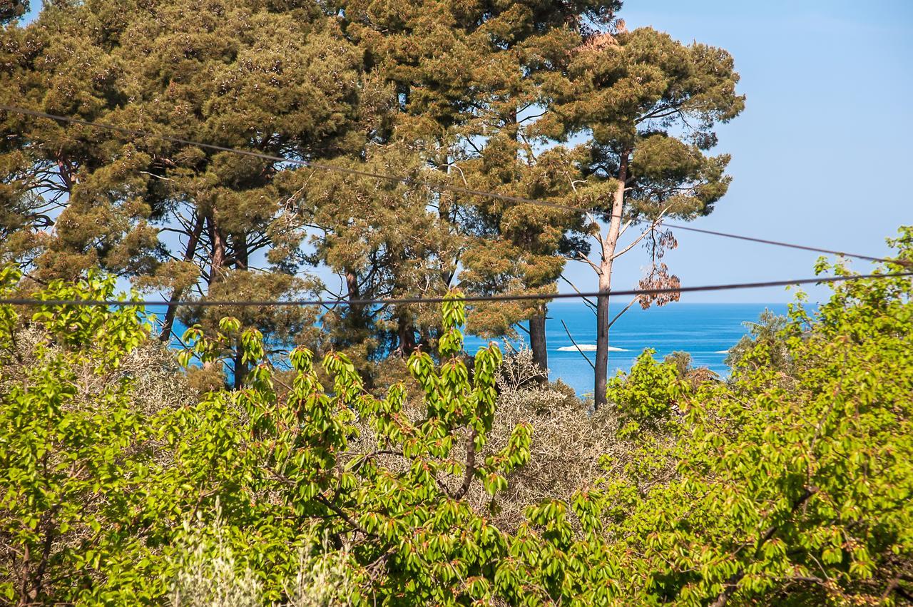 Apartments Carmelo Rovinj Ngoại thất bức ảnh